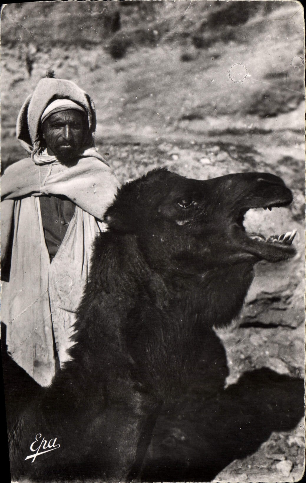 CPA Scenes et Types Soriro de Chameau