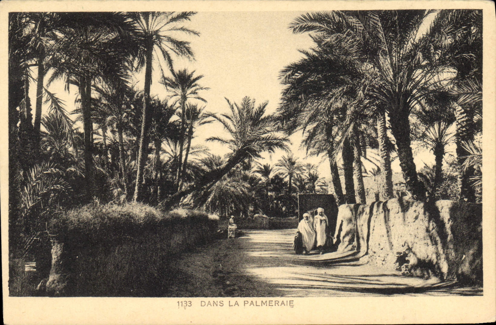 CPA Dans la Palmeraie 