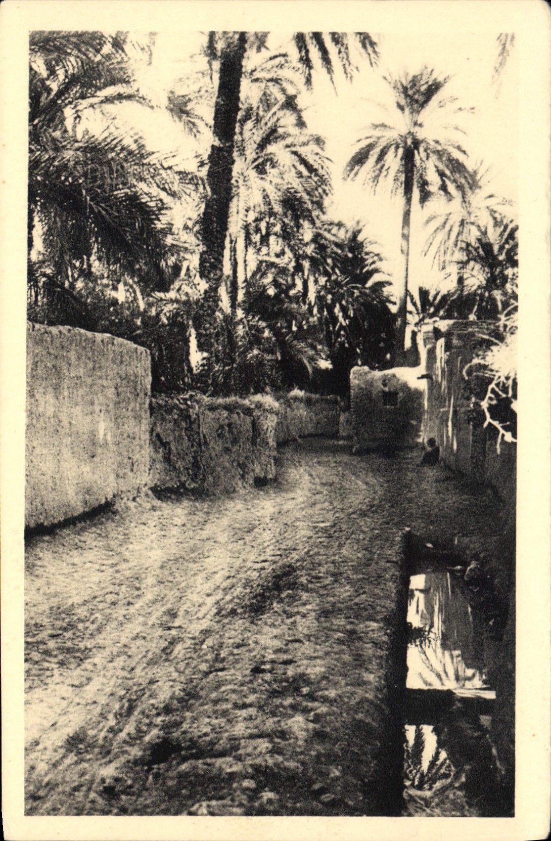 CPA Dans le Vieux Biskra 