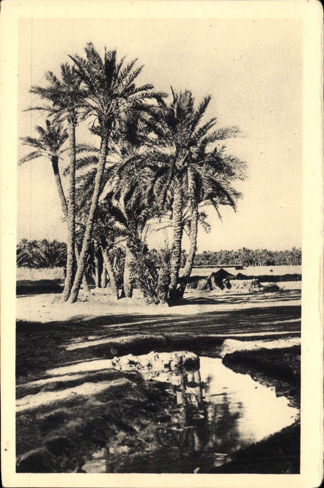 CPA Biskra Route du Fort Turc 