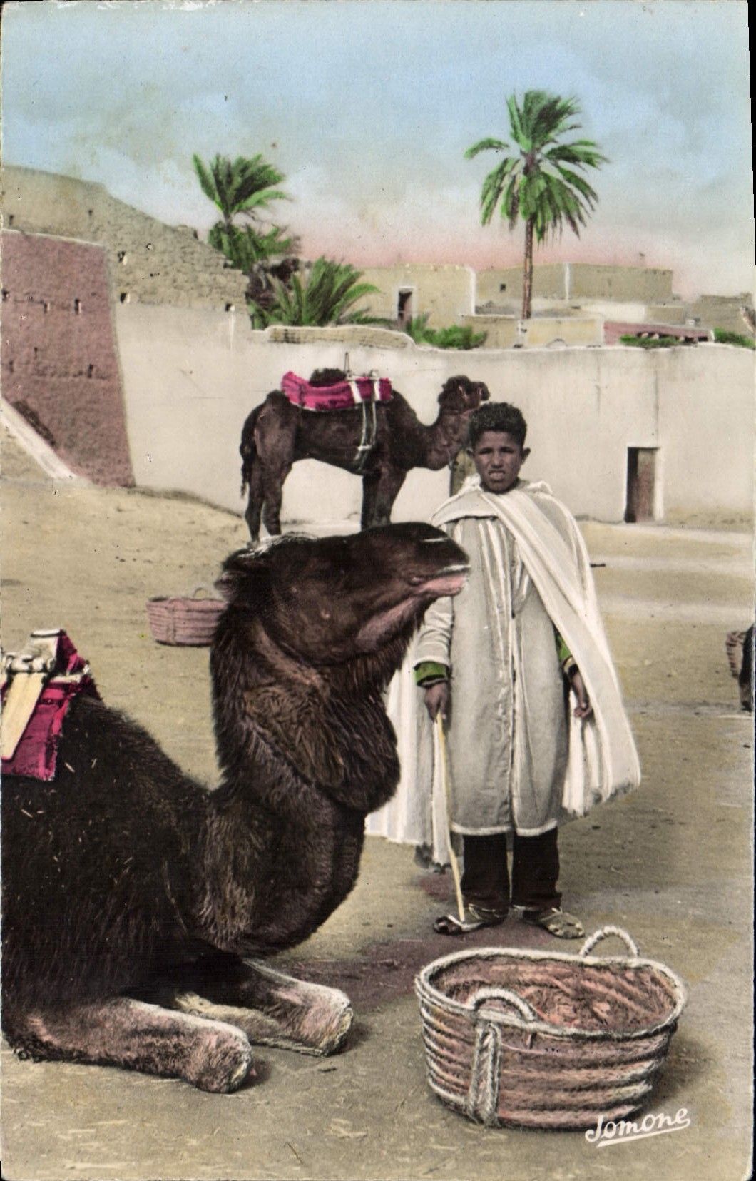 CPA Bou Saada Cite du Bonheur 