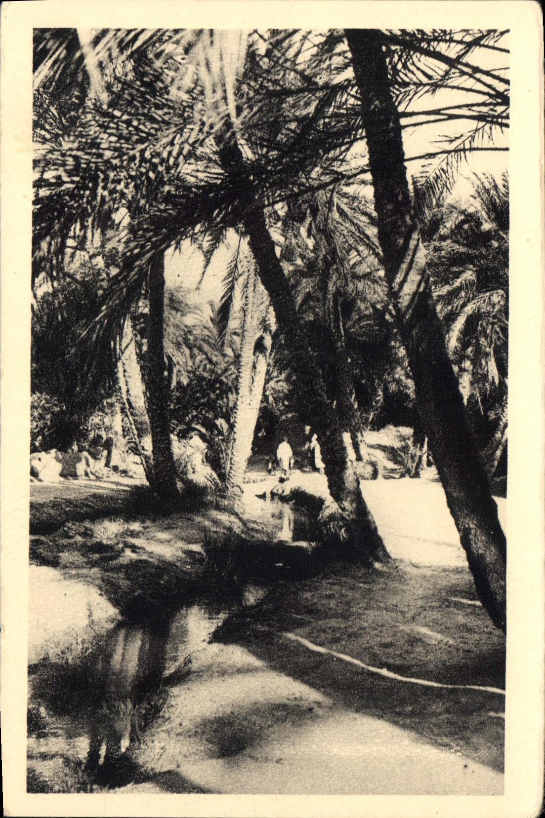 CPA Dans le Vieux Biskra 