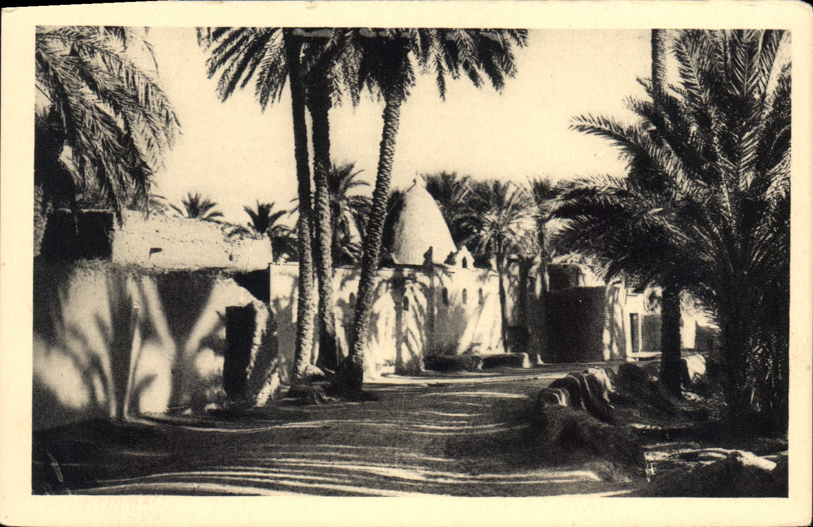 CPA Dans le Vieux Biskra Mosquee de M Cid