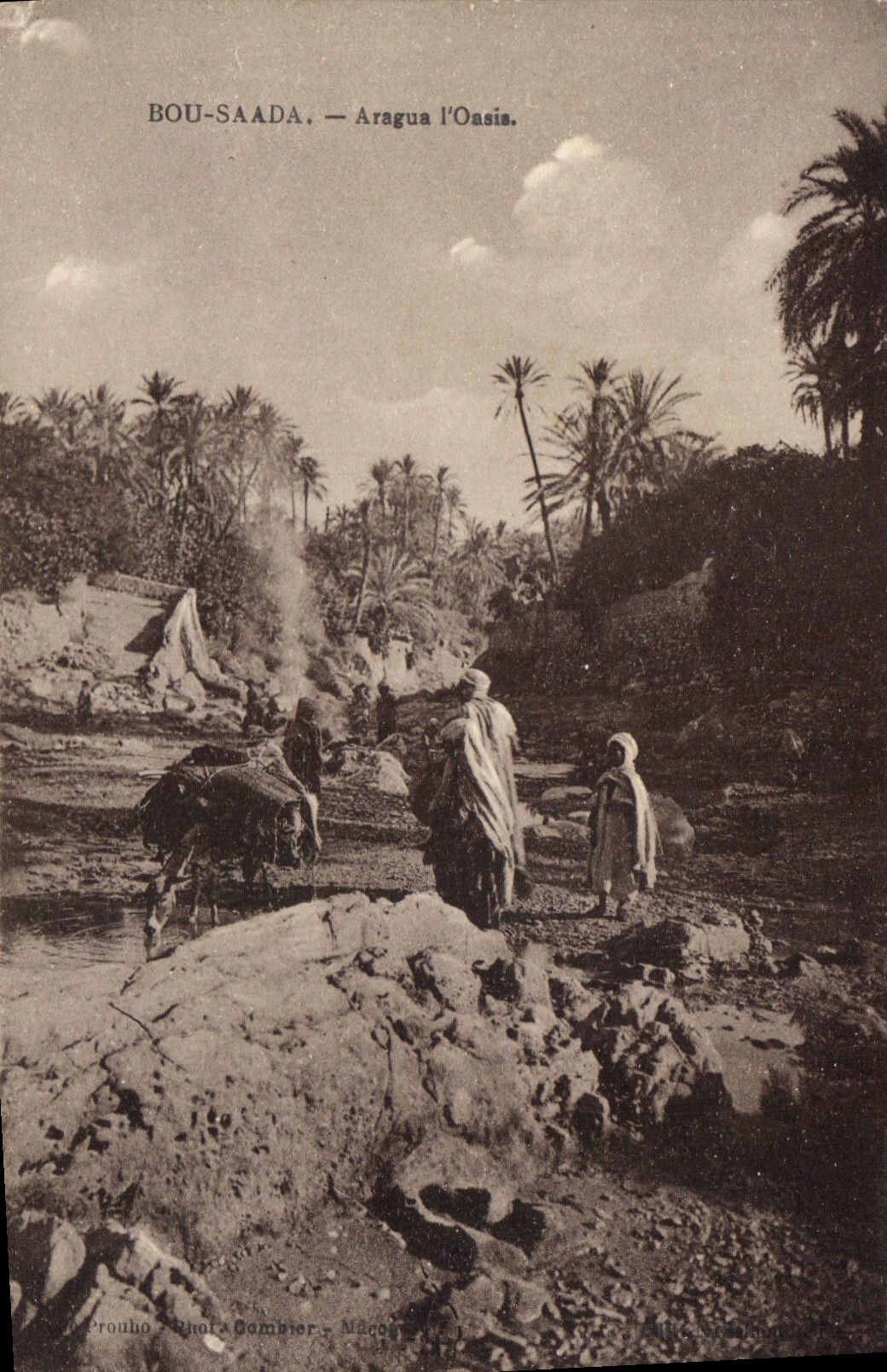 CPA Bou Saada Aragua l'Oasis 