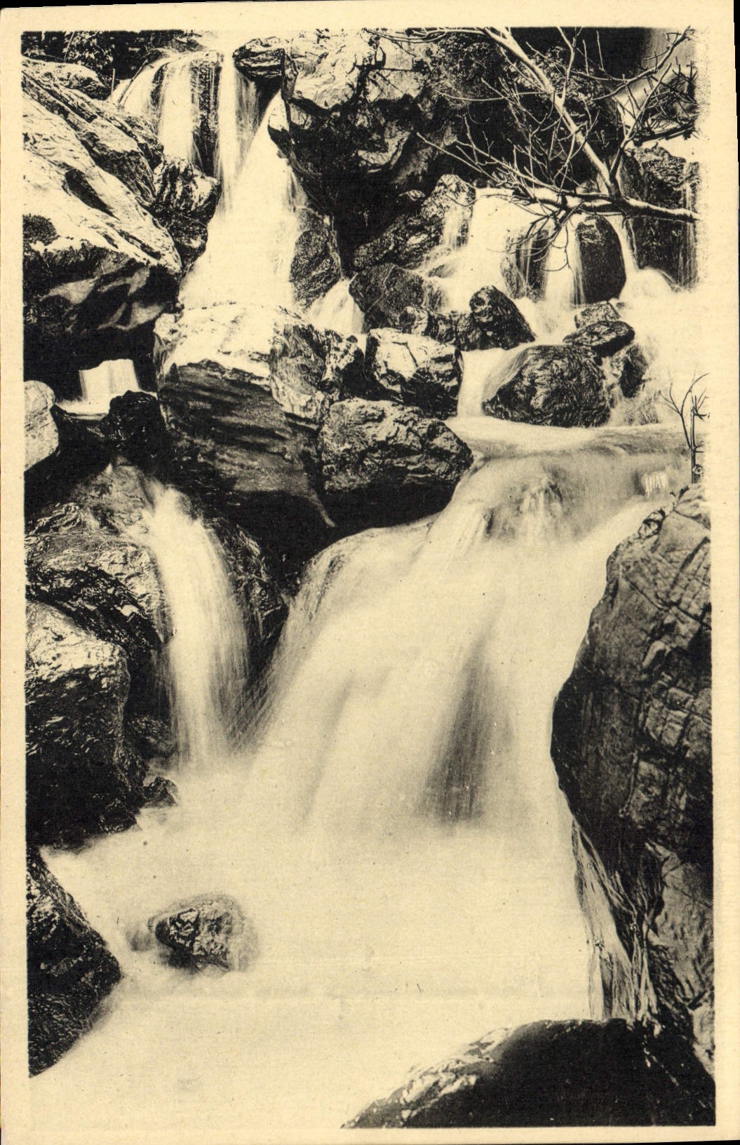 CPA Blida Gorges de la Chiffa Les Cascades du Ruisseau des Singes