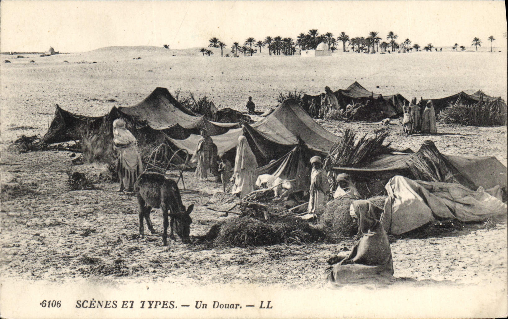 CPA Scenes et Types Un Douar Ane Mule