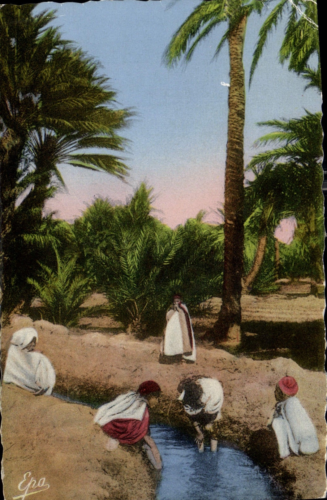 CPA Scenes et Types Dans l'Oasis