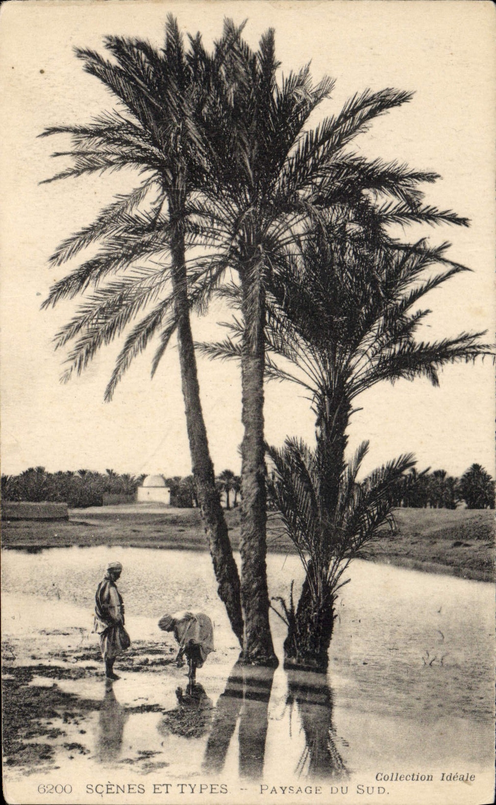 CPA Scenes et Types Paysage du Sud 