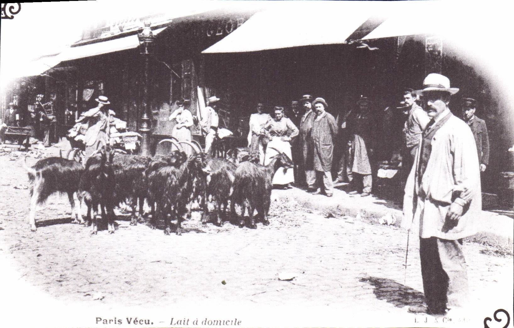 REPRO Paris Vecu Lait a domieile 