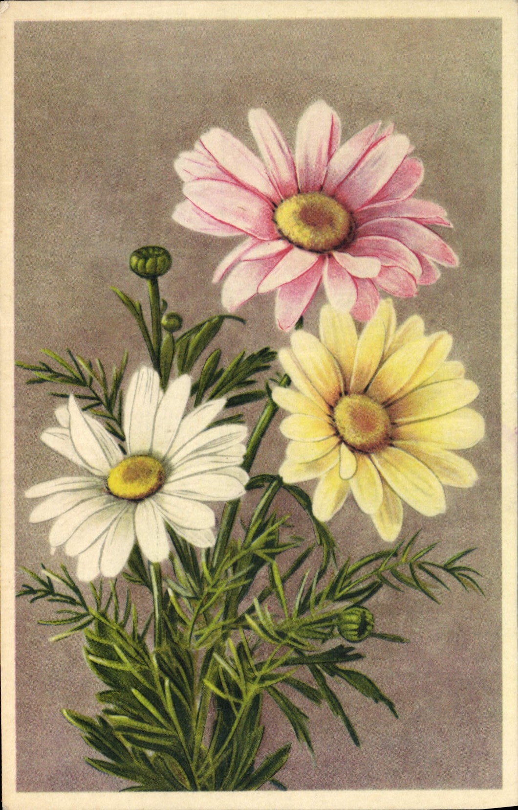 CPA Fantaisie Fleurs