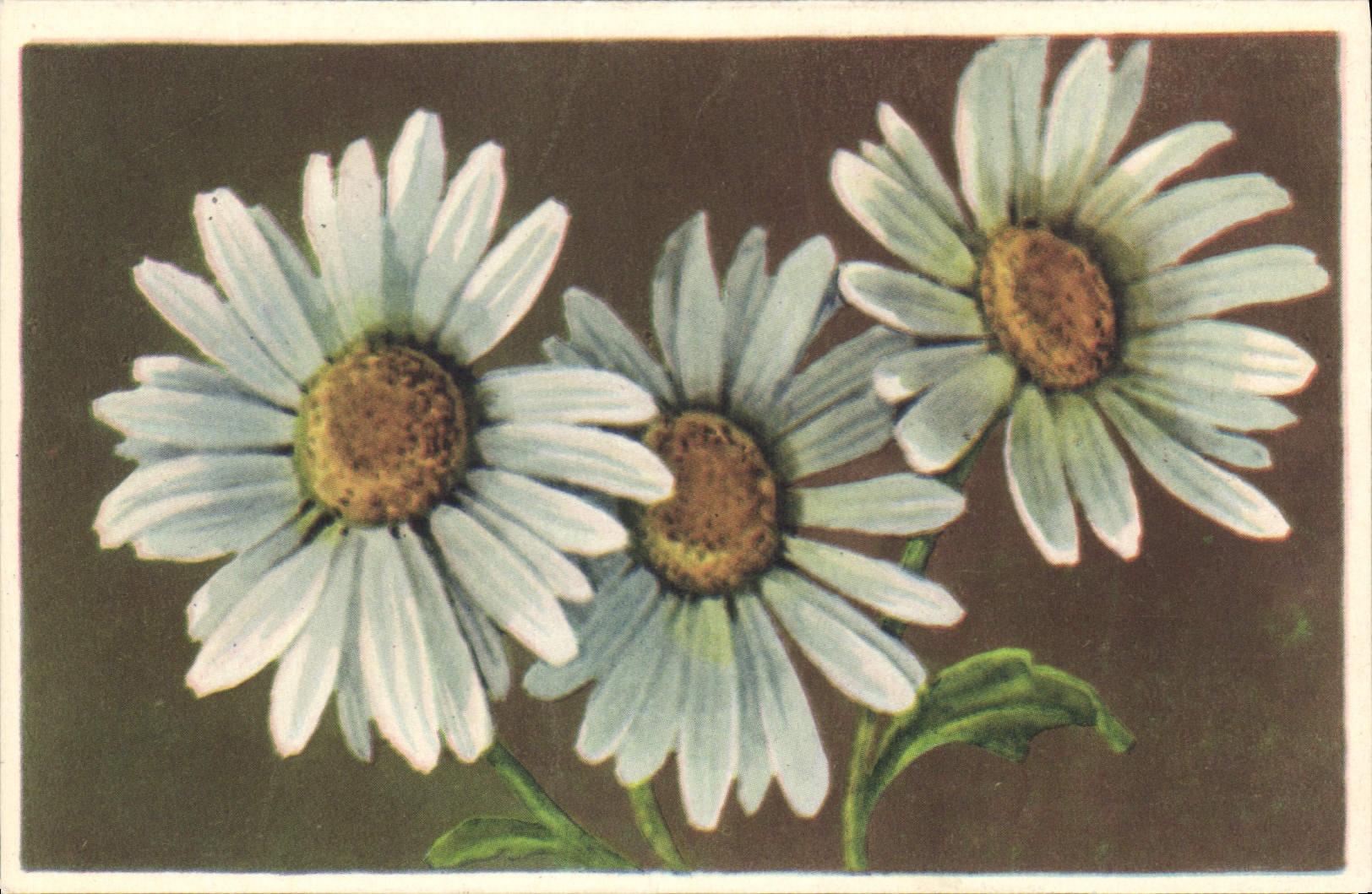 CPA Fantaisie Fleurs