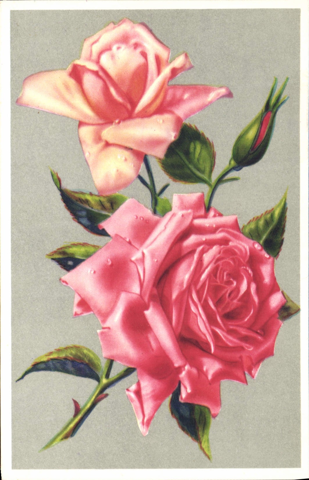 CPA Fantaisie Fleurs