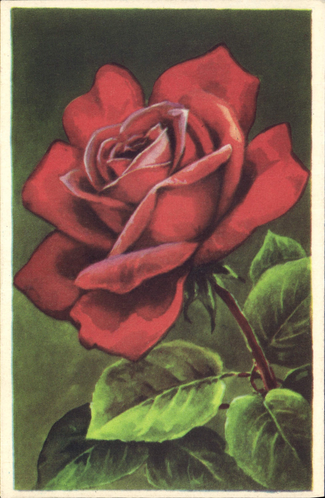 CPA Fantaisie Fleurs