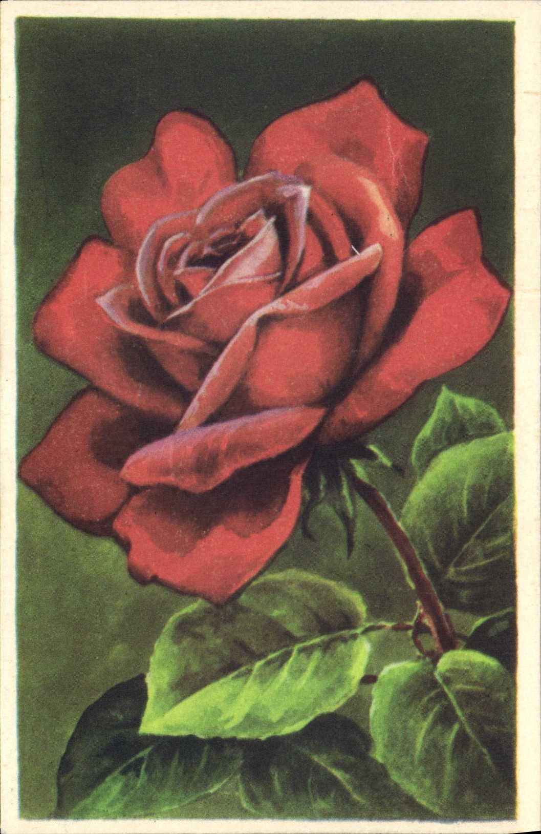 CPA Fantaisie Fleurs