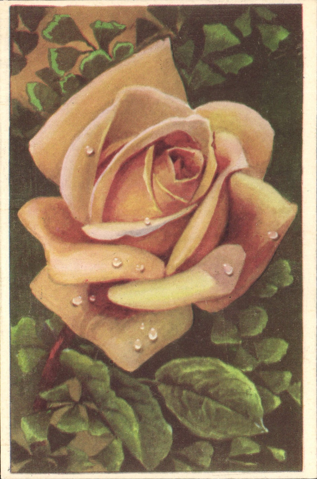 CPA Fantaisie Fleurs