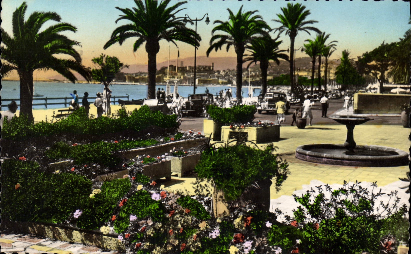 CPA Cannes la Croisette Fleurie 