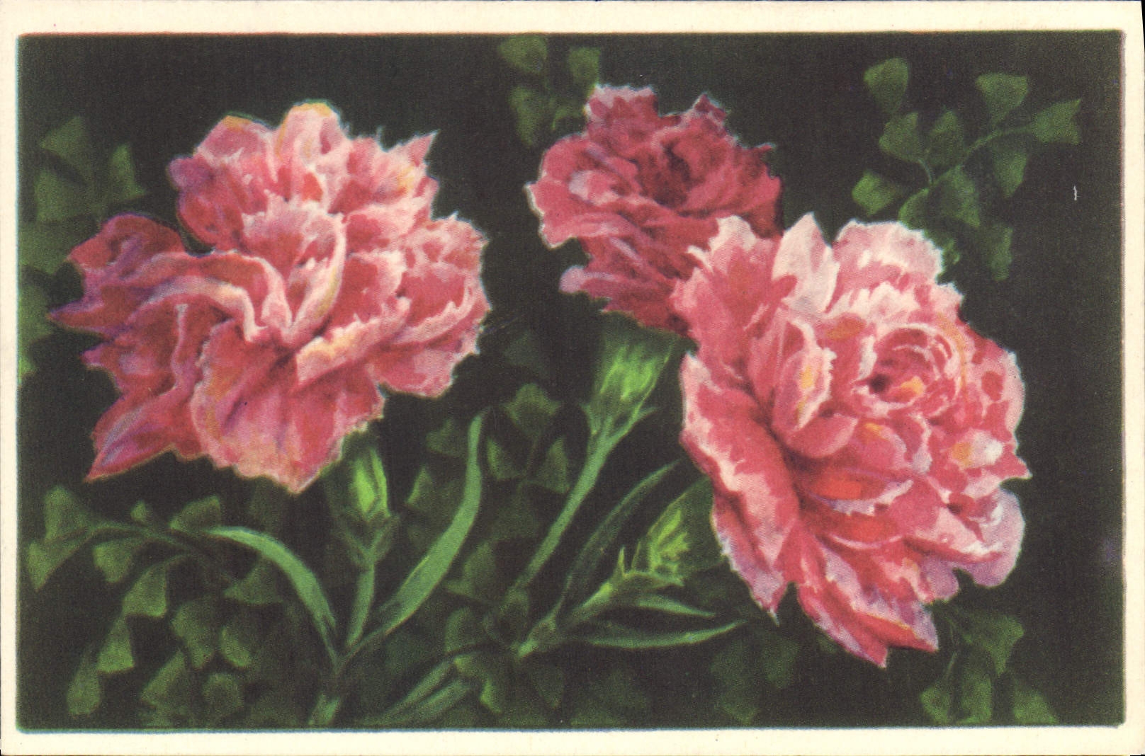 CPA Fantaisie Fleurs