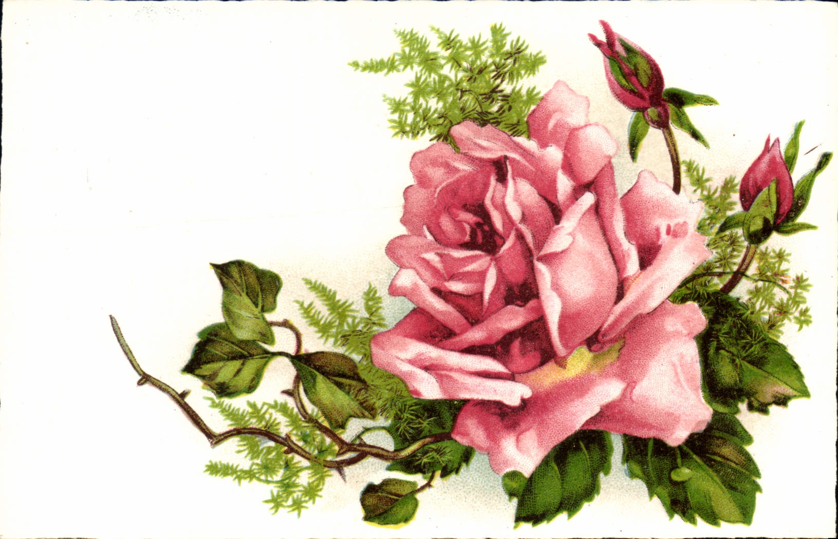 CPA Fantaisie Fleurs