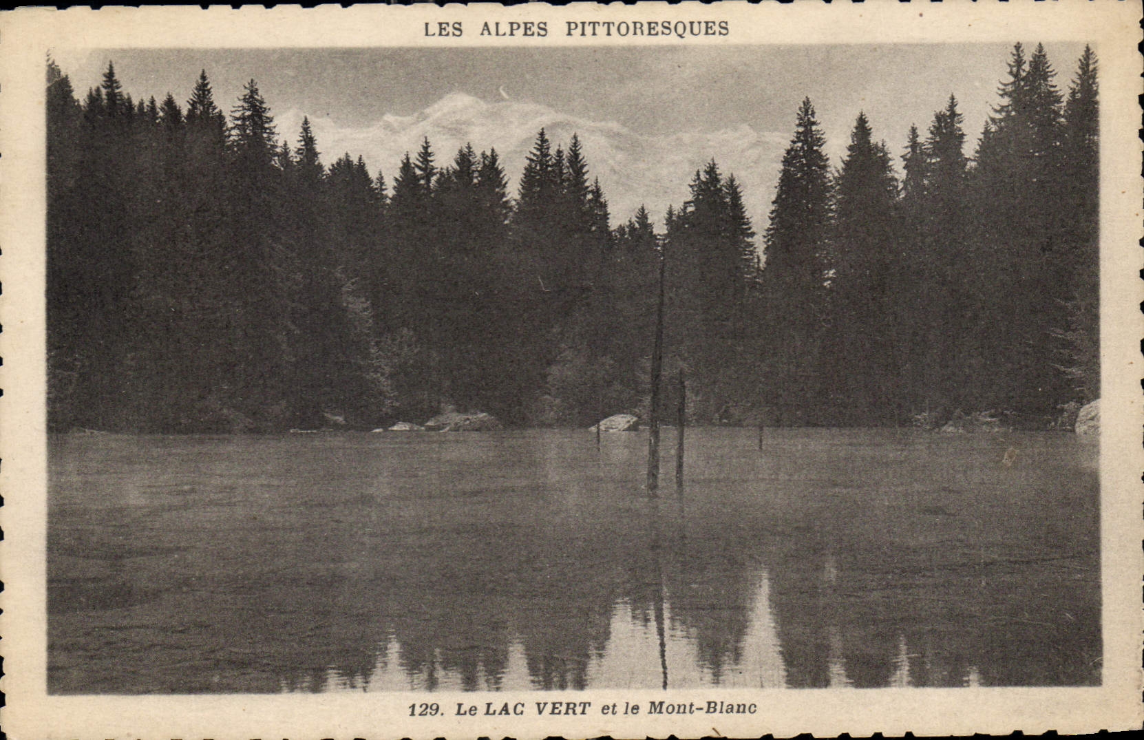 CPA Les Alpes Pittoresque le Lac Vert et le Mont Blanc