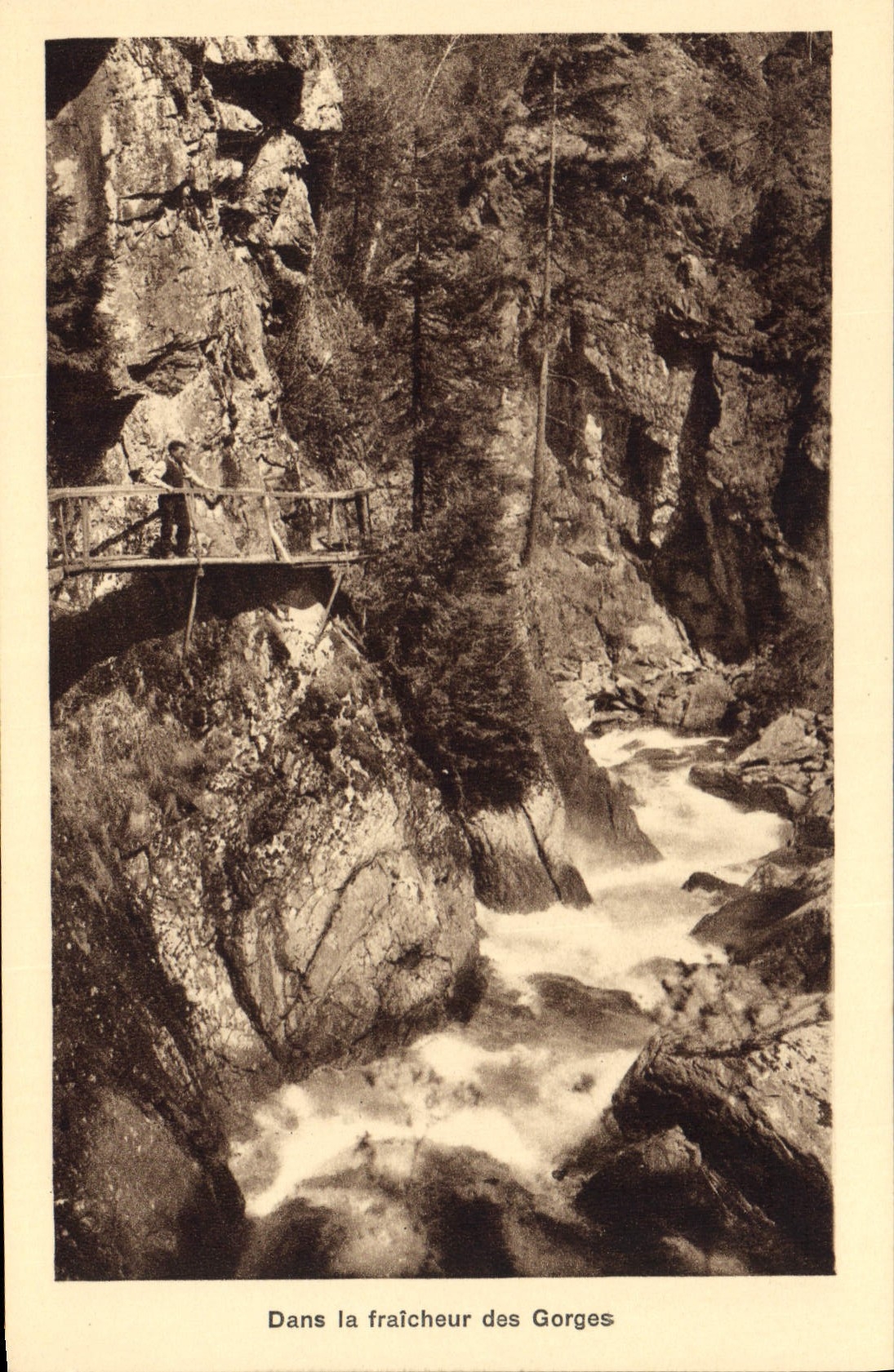 CPA Dans la Frtaicheur des Gorges Gorges de la Diosaz