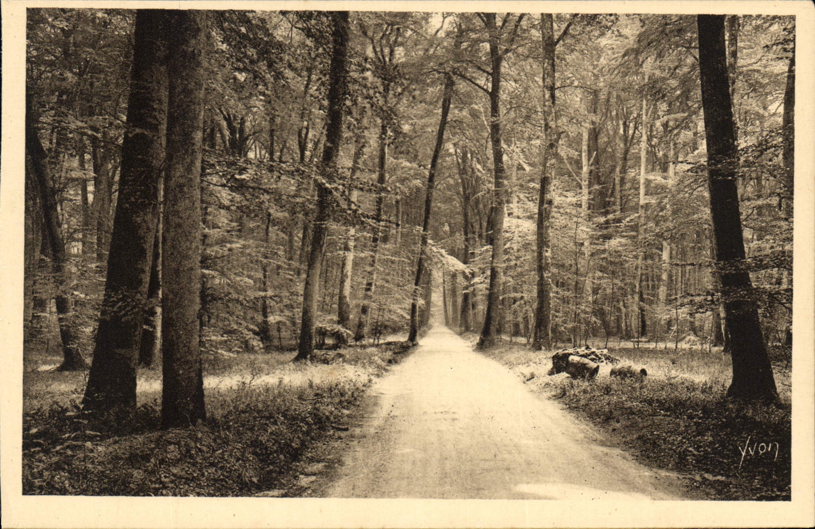 CPA Fontainebleau S et M la Foret Route Ronde 