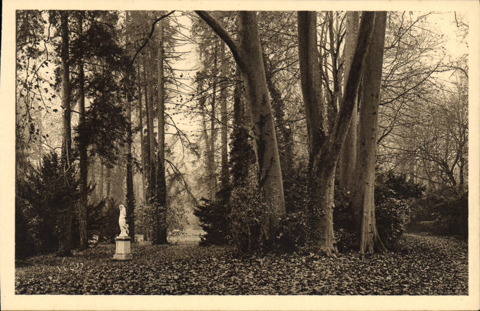 CPA Fontainebleau S et M Jardins du Palais Allee des Platanes