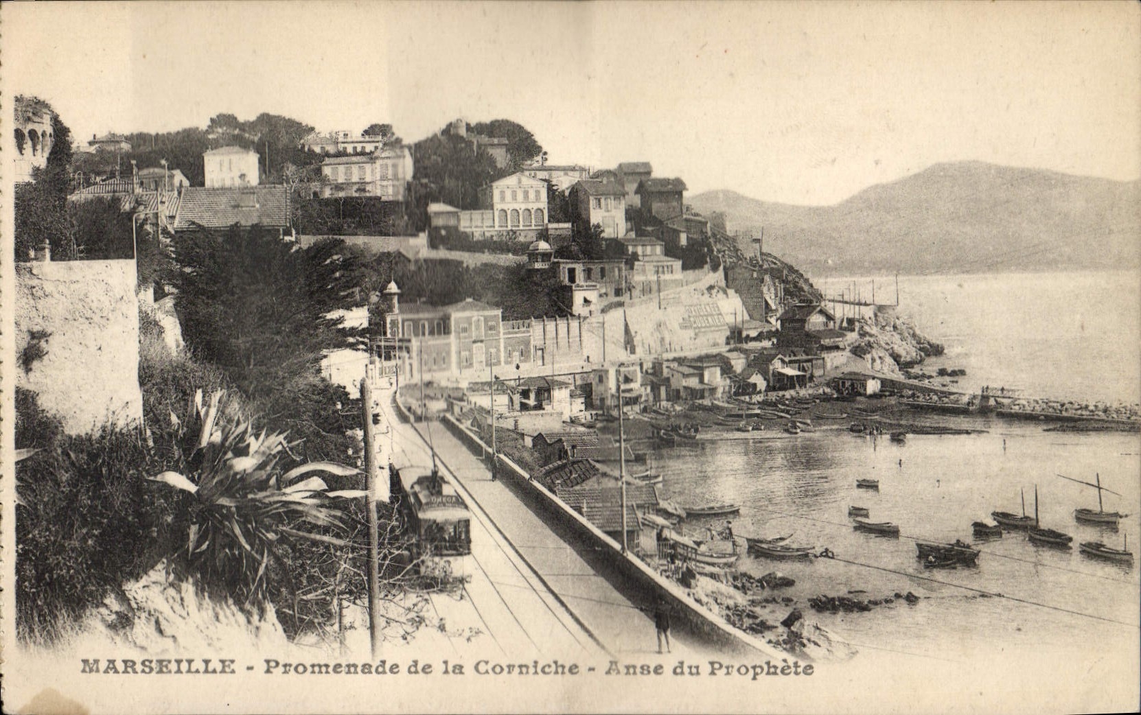 CPA Marseille Promenade de la Corniche Anne du Prophete