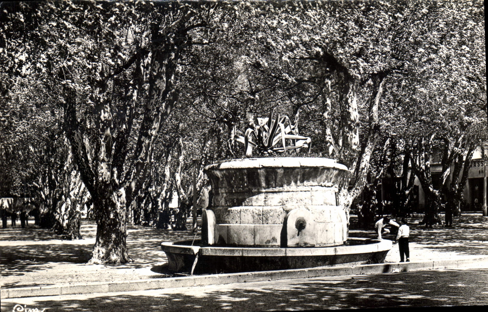 CPA Cote d'Azur Saint Tropez Var La Place des Lys