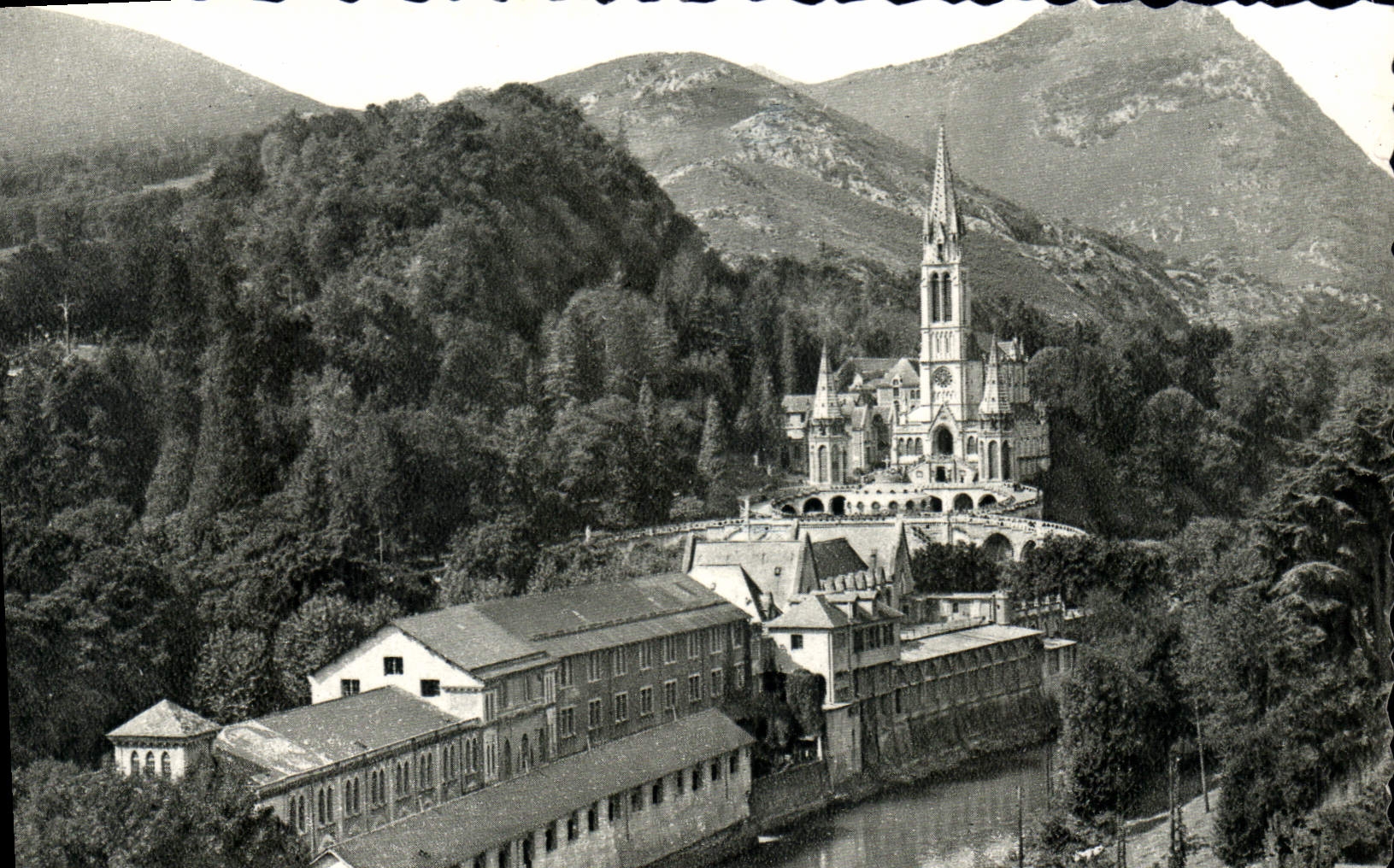 CPA Lourdes La Basilique et le Gave 