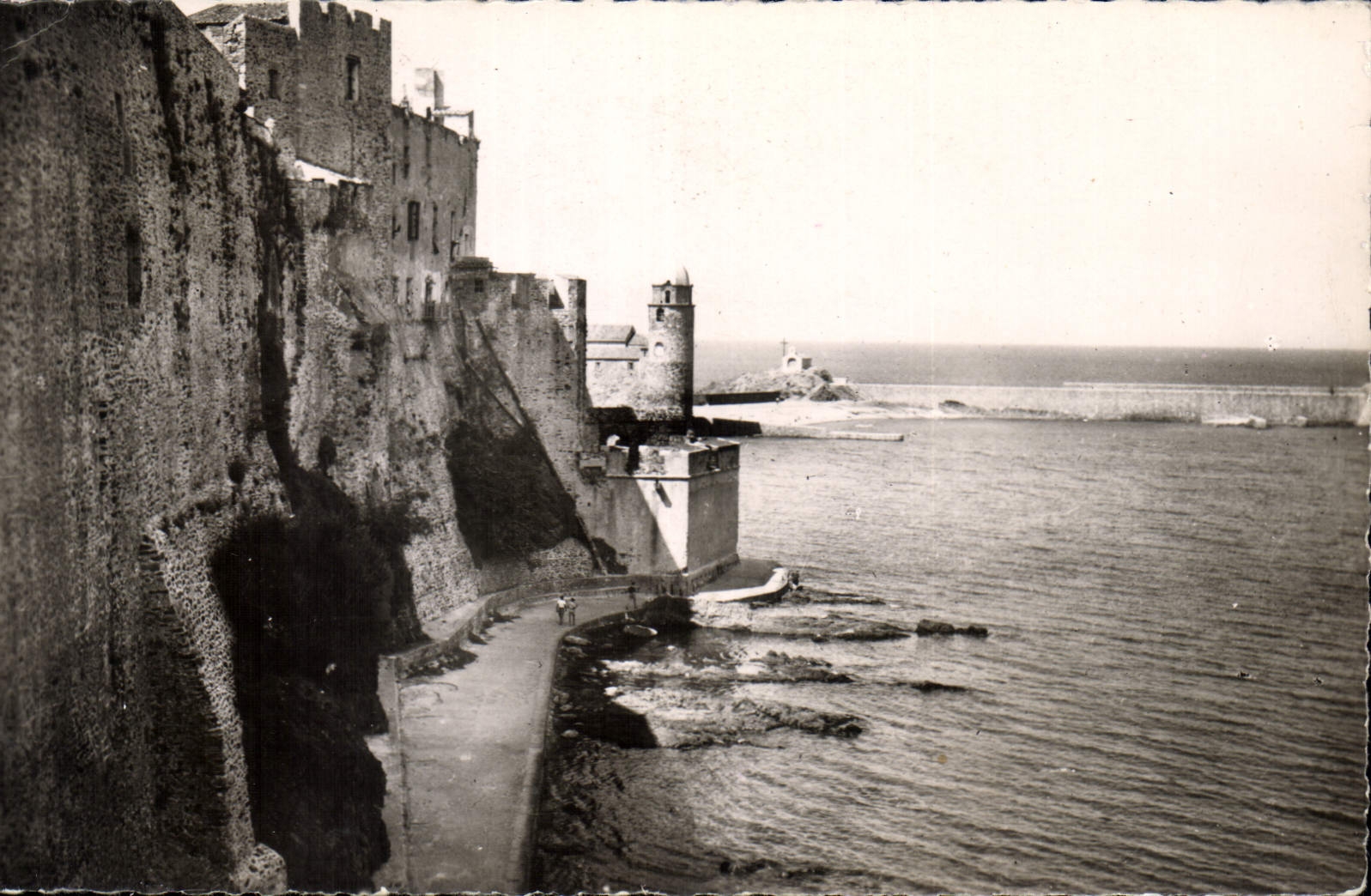 CPA Collioure La Passerelle et le Chateau des Templiers