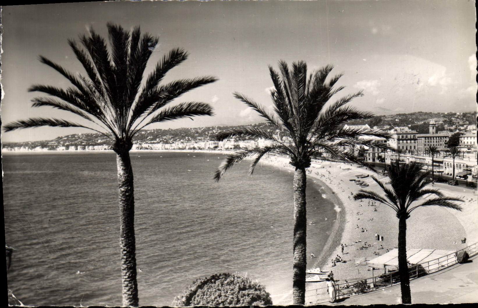 CPA Nice La Plage et la Promenade des Anglais vues de la Colline du Chateau
