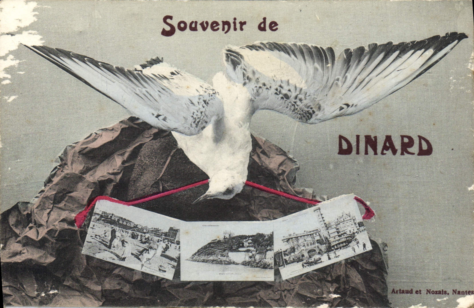 CPA Souvenir de Dinard 