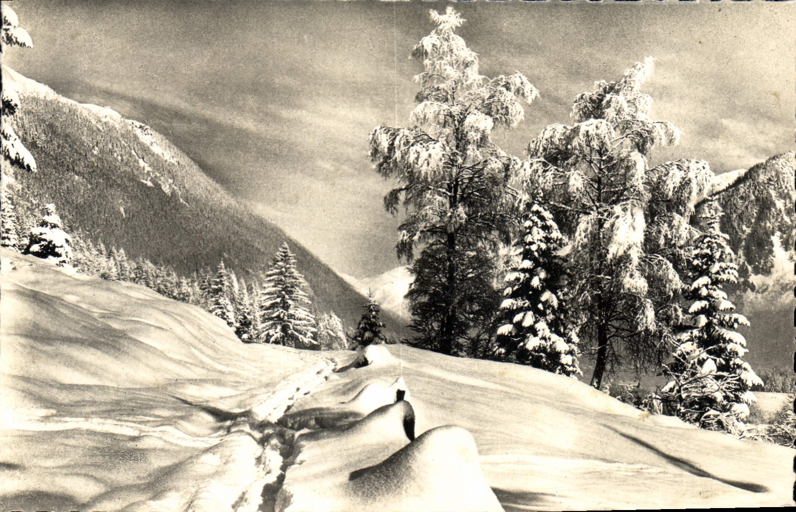 CPA Region du Mont Blanc l'hiver 