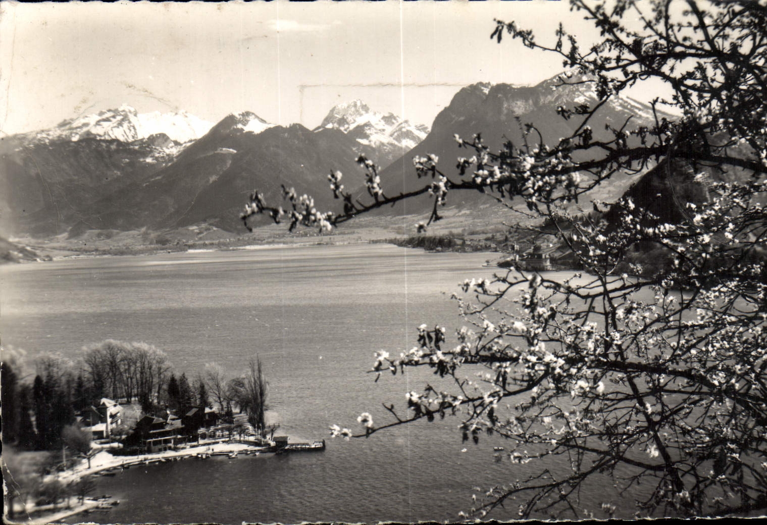 CPA Lac d'Annecy 