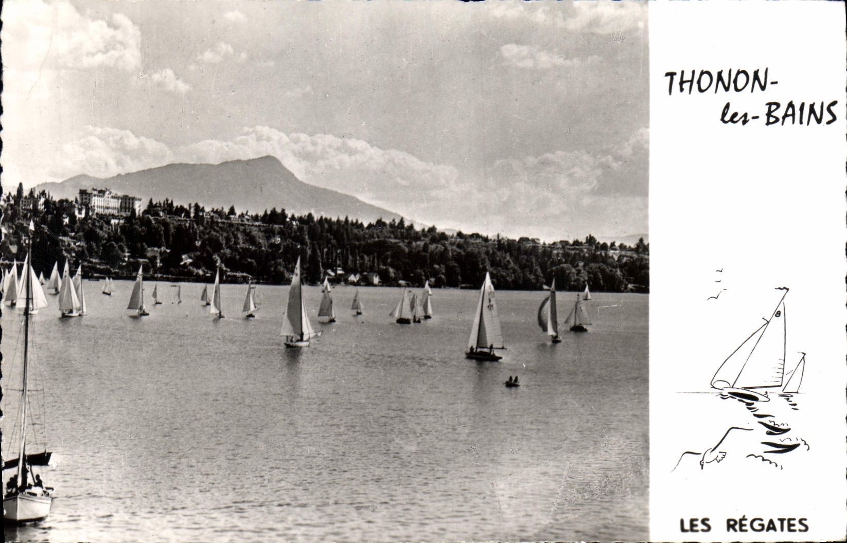 CPA Thonon les Bains Les Regates