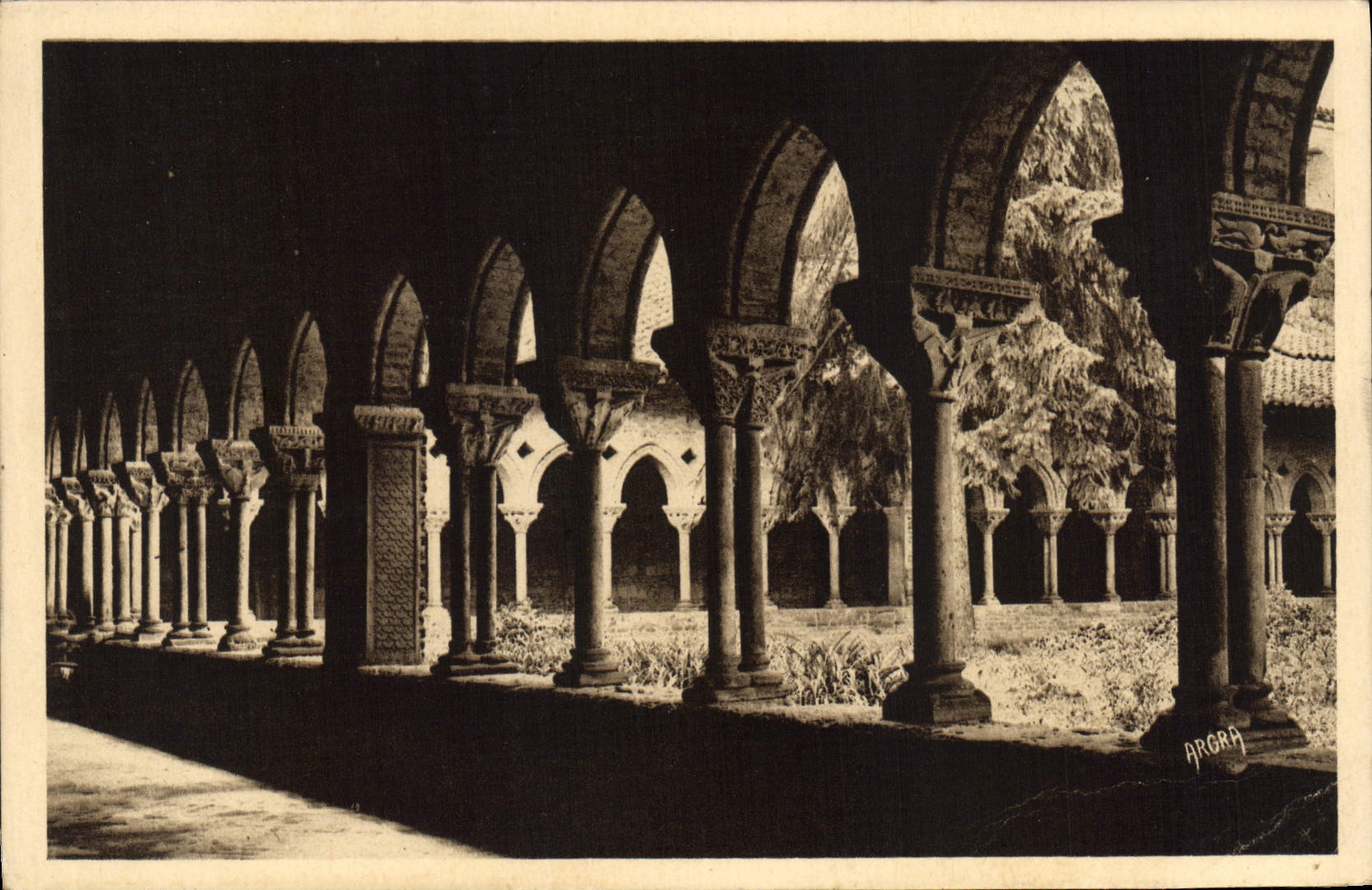 CPA Abbaye de Moissac Le Cloitre 