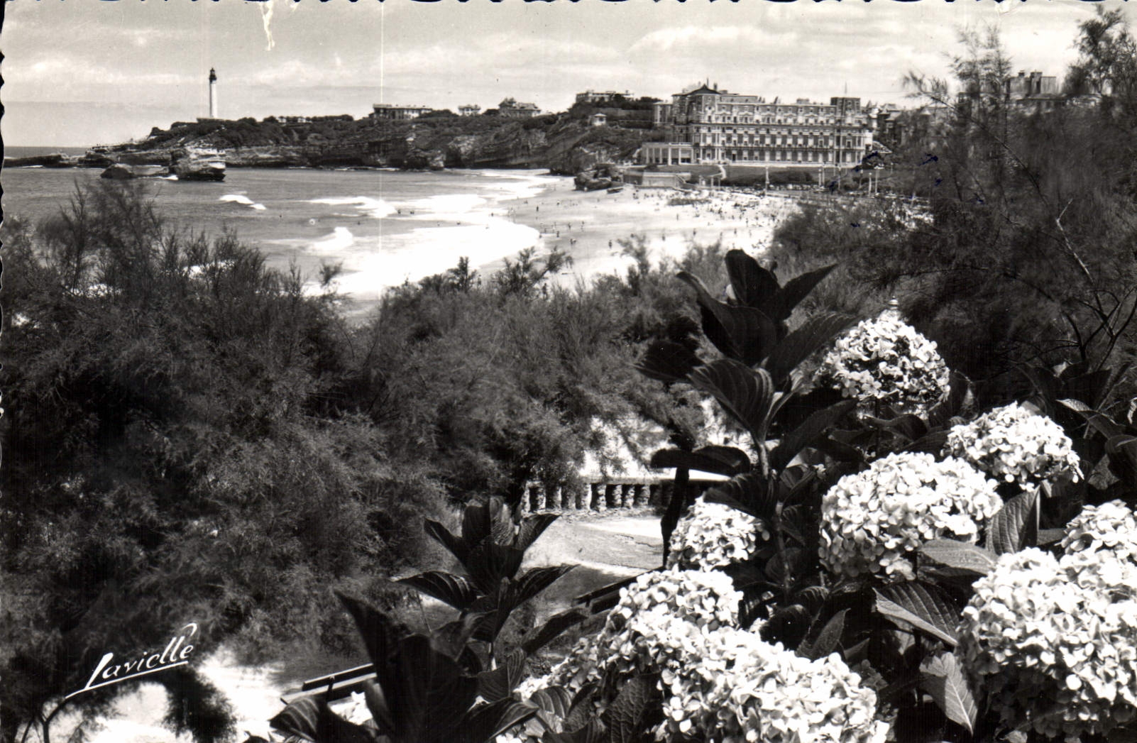 CPA Biarritz Les Hortensias et vue sur le Phare 