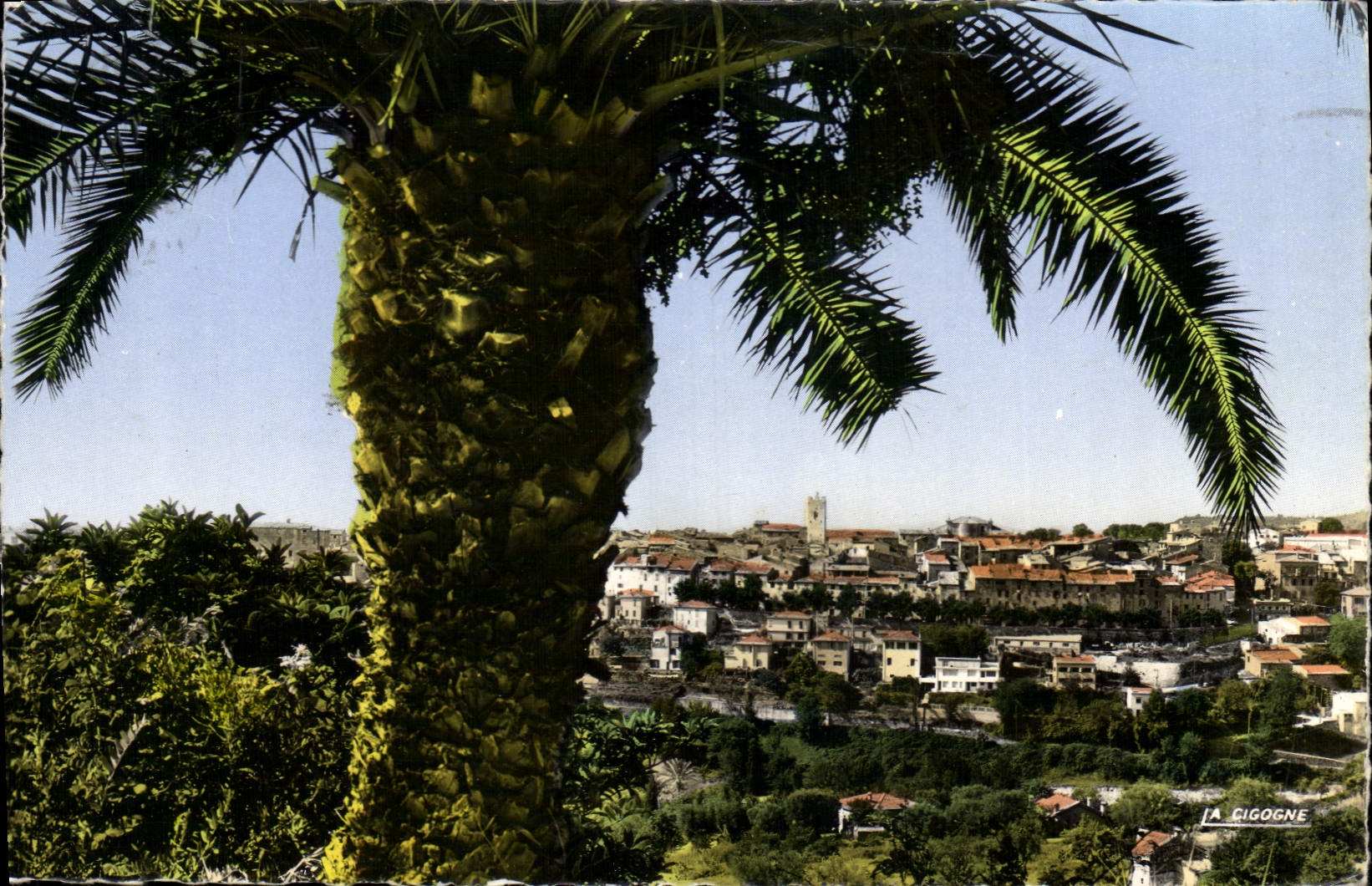 CPA Vence AM Vue d'ensemble 