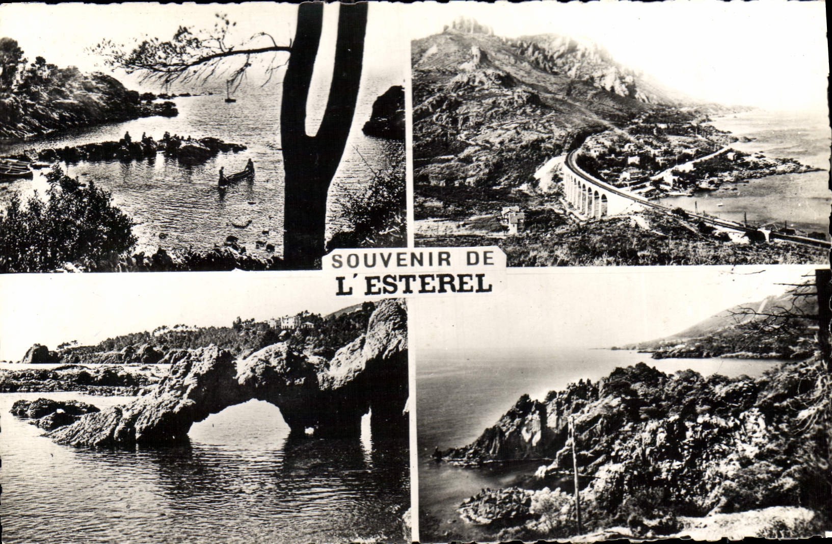 CPA Souvenir de l'Esterel 