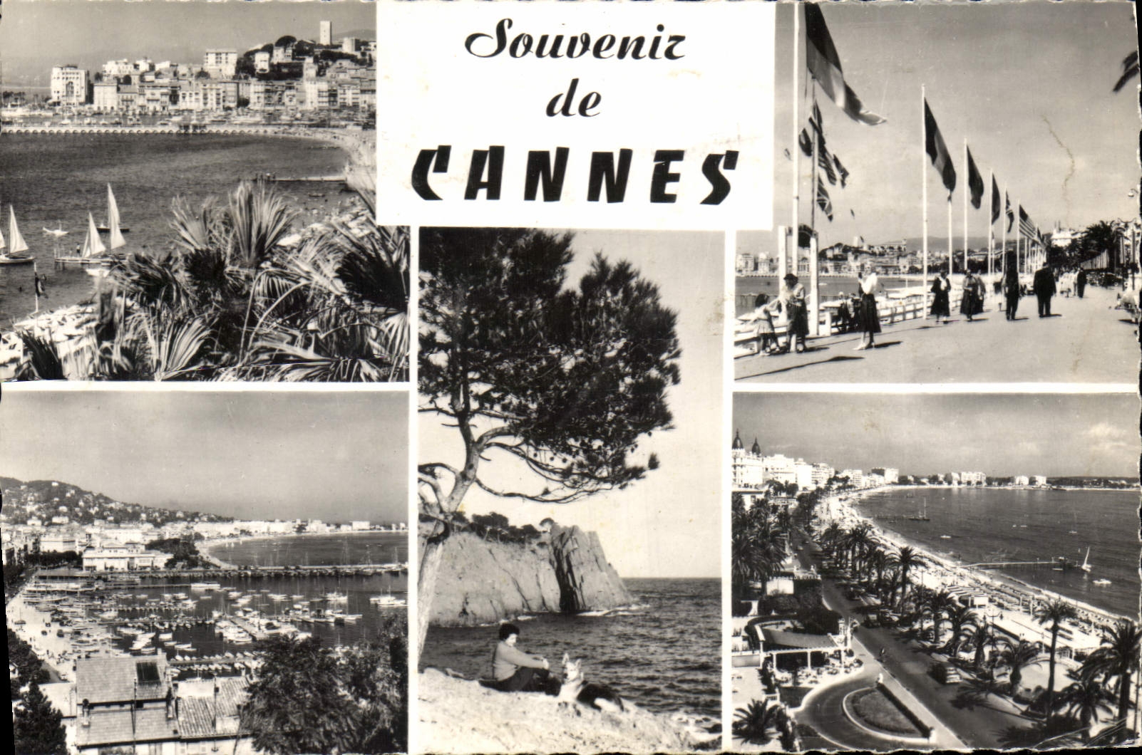 CPA Souvenir de Cannes 
