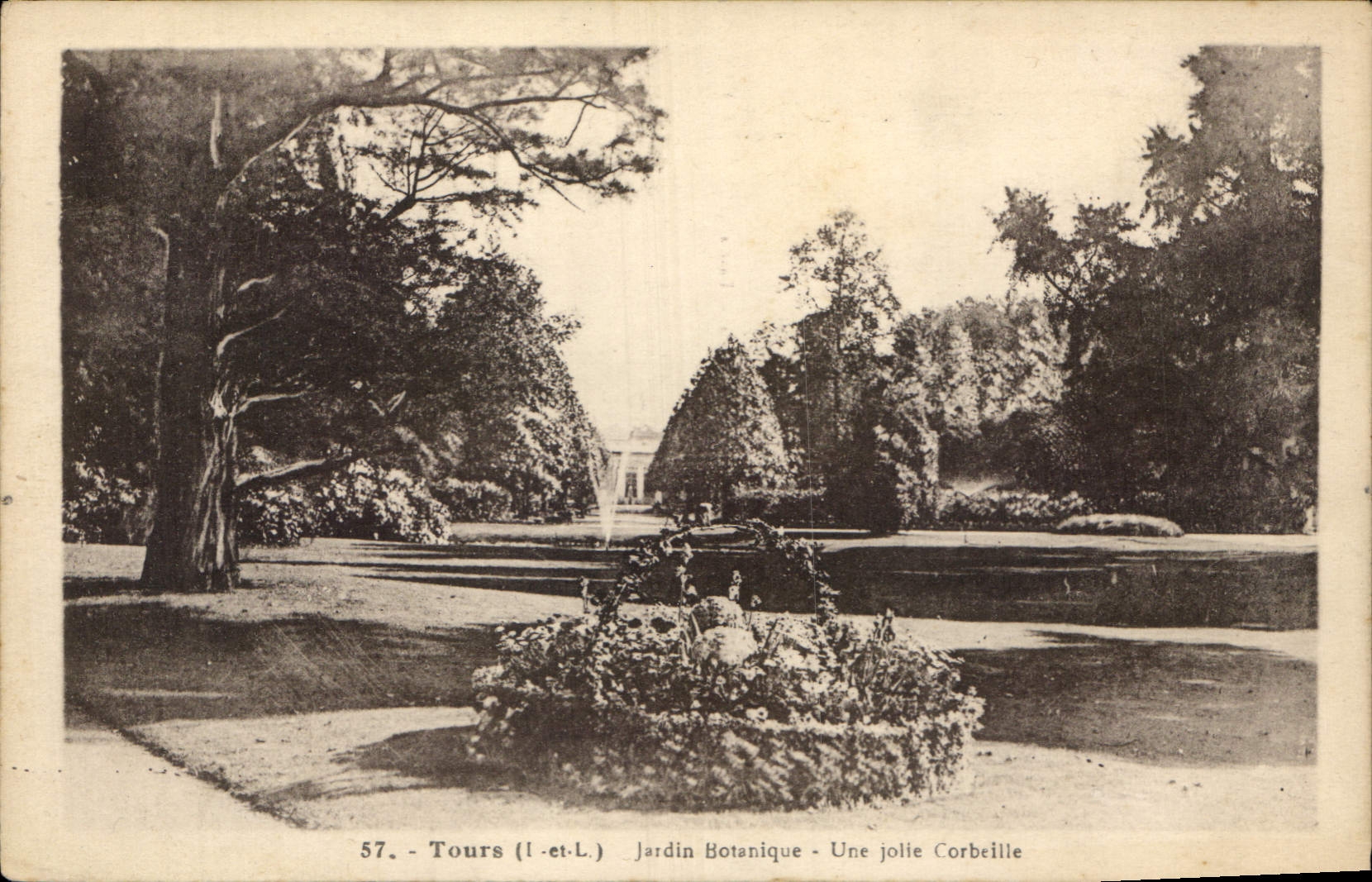 CPA Tours Jardin Botanique Une jolie Corbeille 