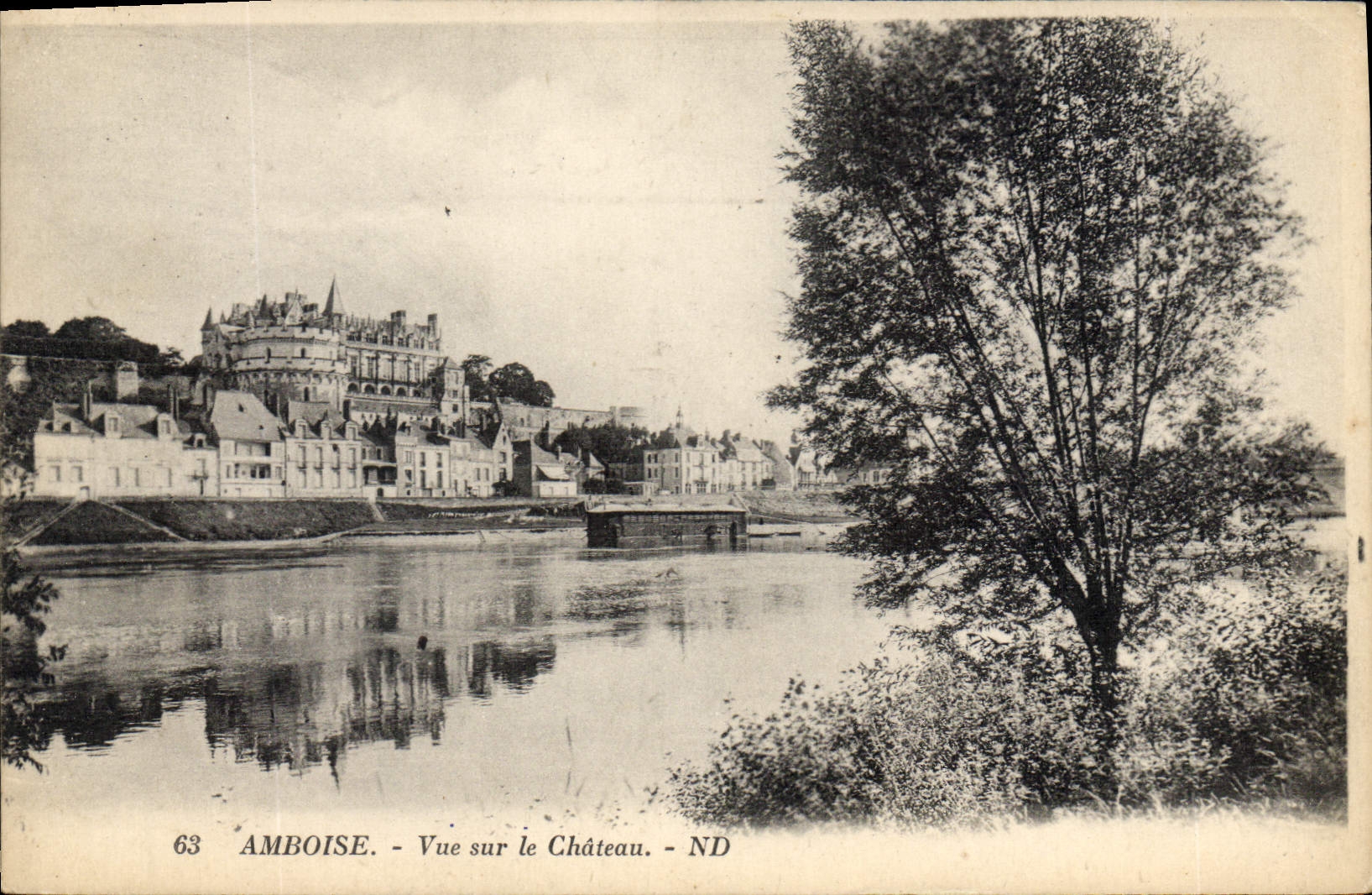 CPA Amboise vue sur le Chateau 