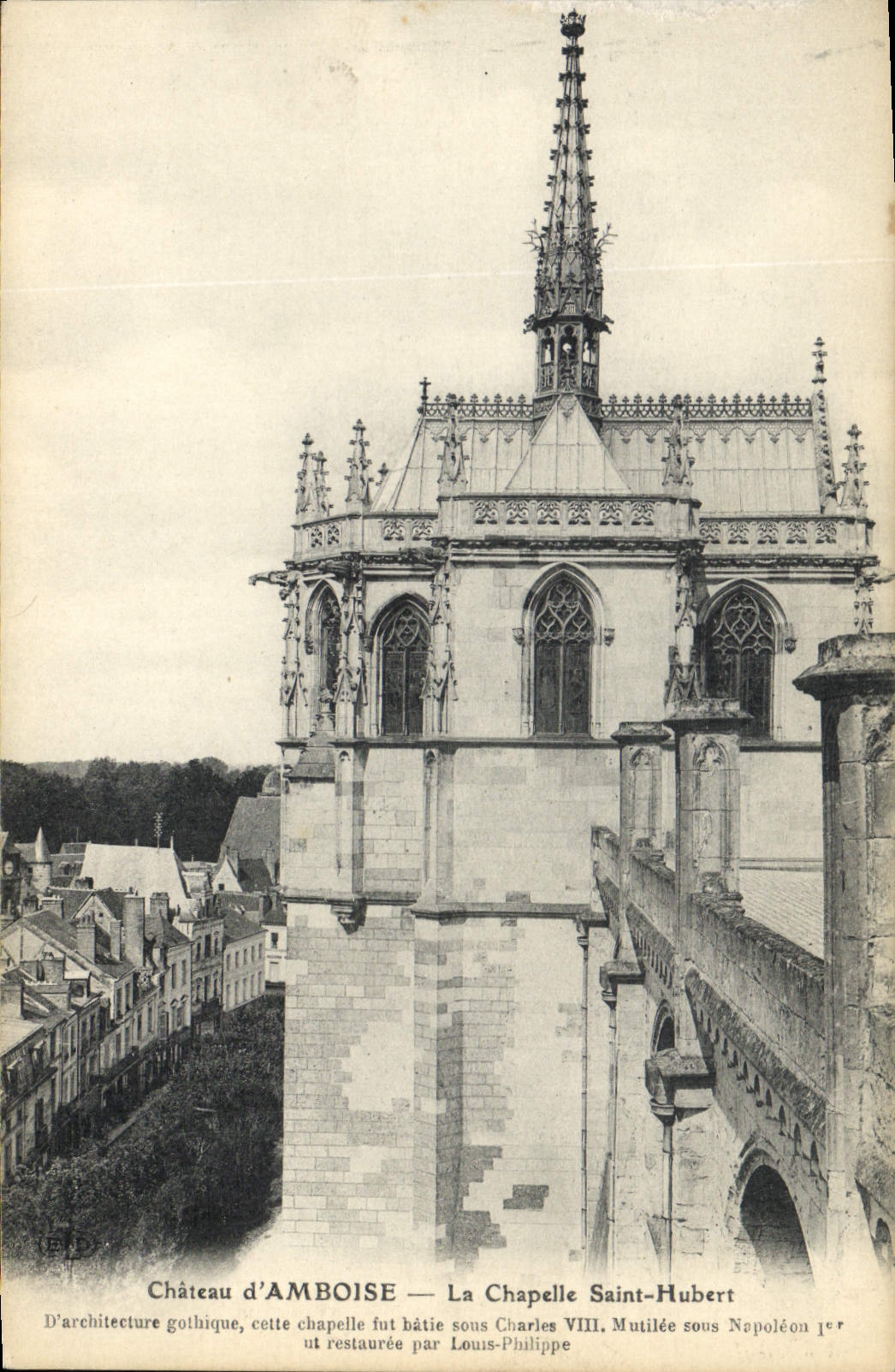 CPA Chateau d'Amboise la Chapelle Saint Hubert