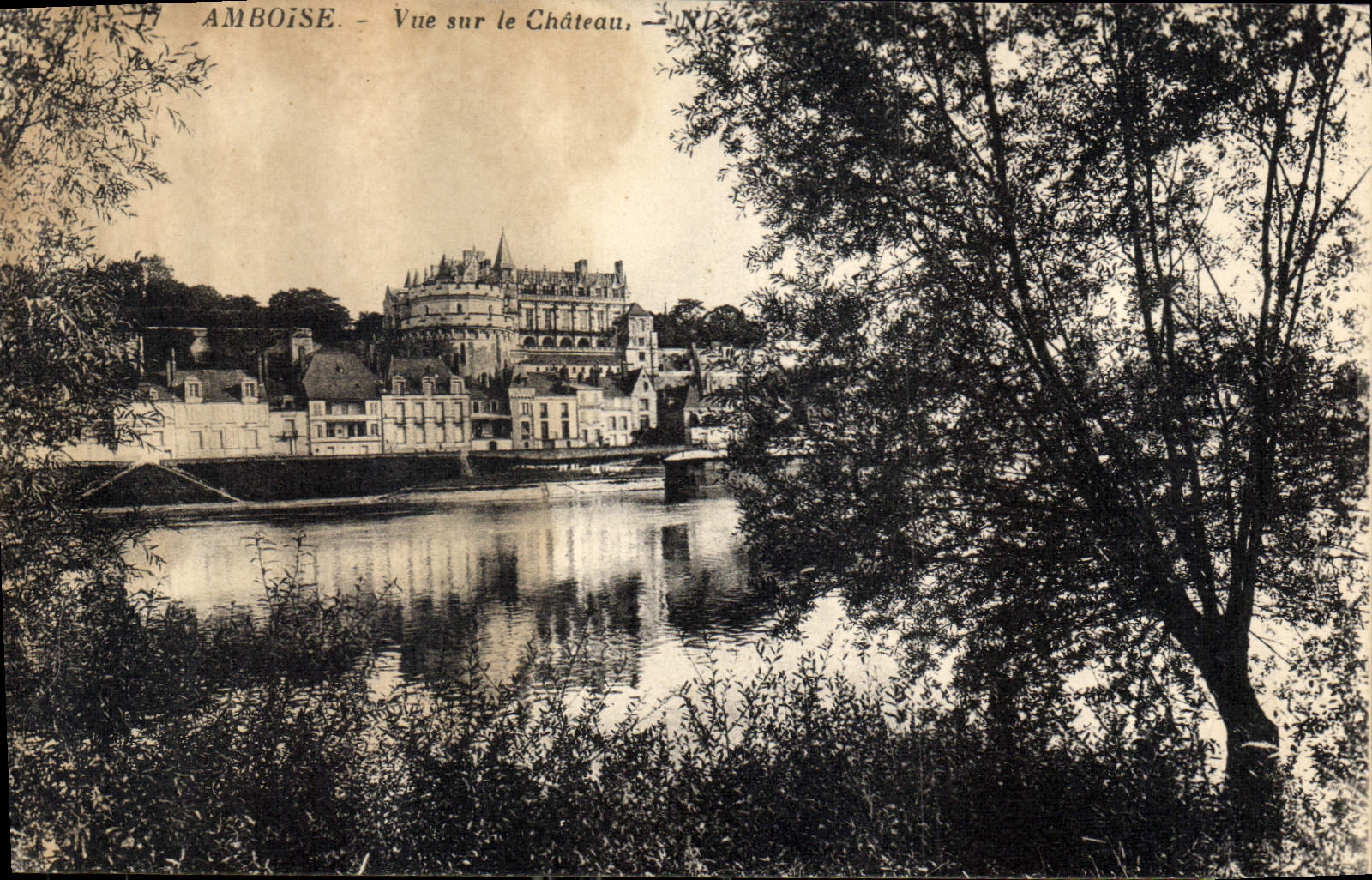 CPA Amboise vue sur le Chateau 