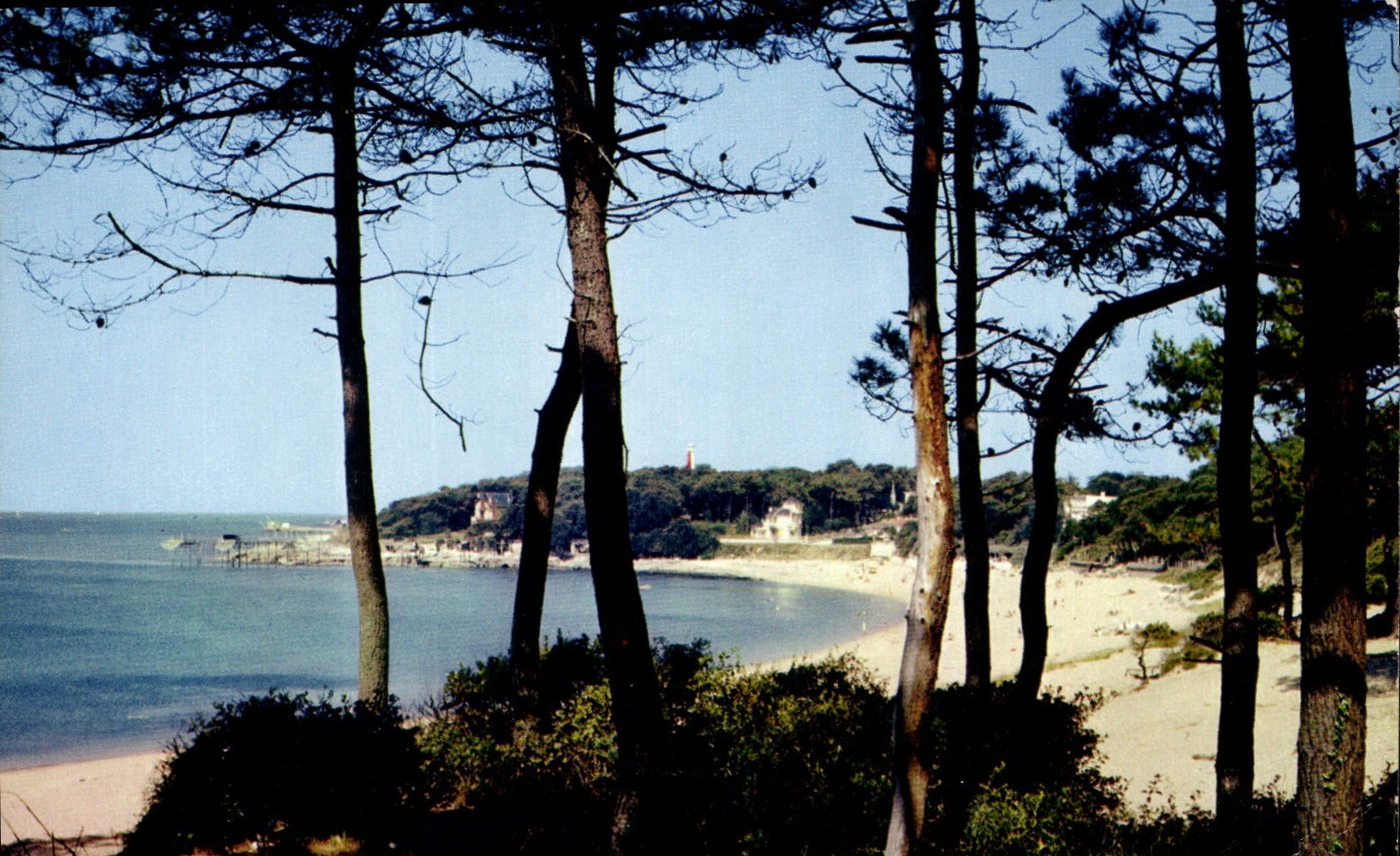 CPA Saint Palais sur Mer La Plage du Platin 