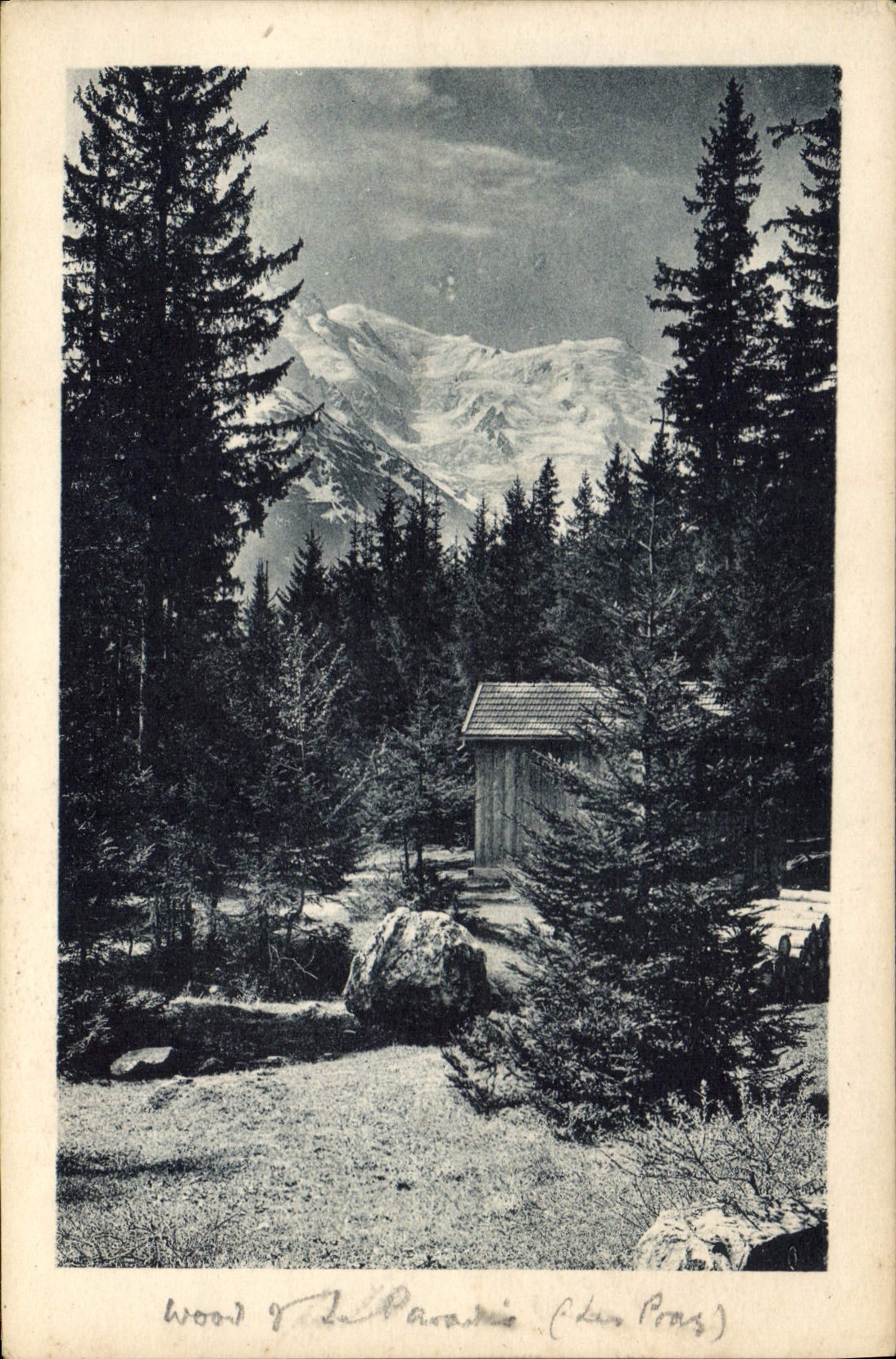 CPA Chamonix Le Bois du Paradis et le Mont Blanc 