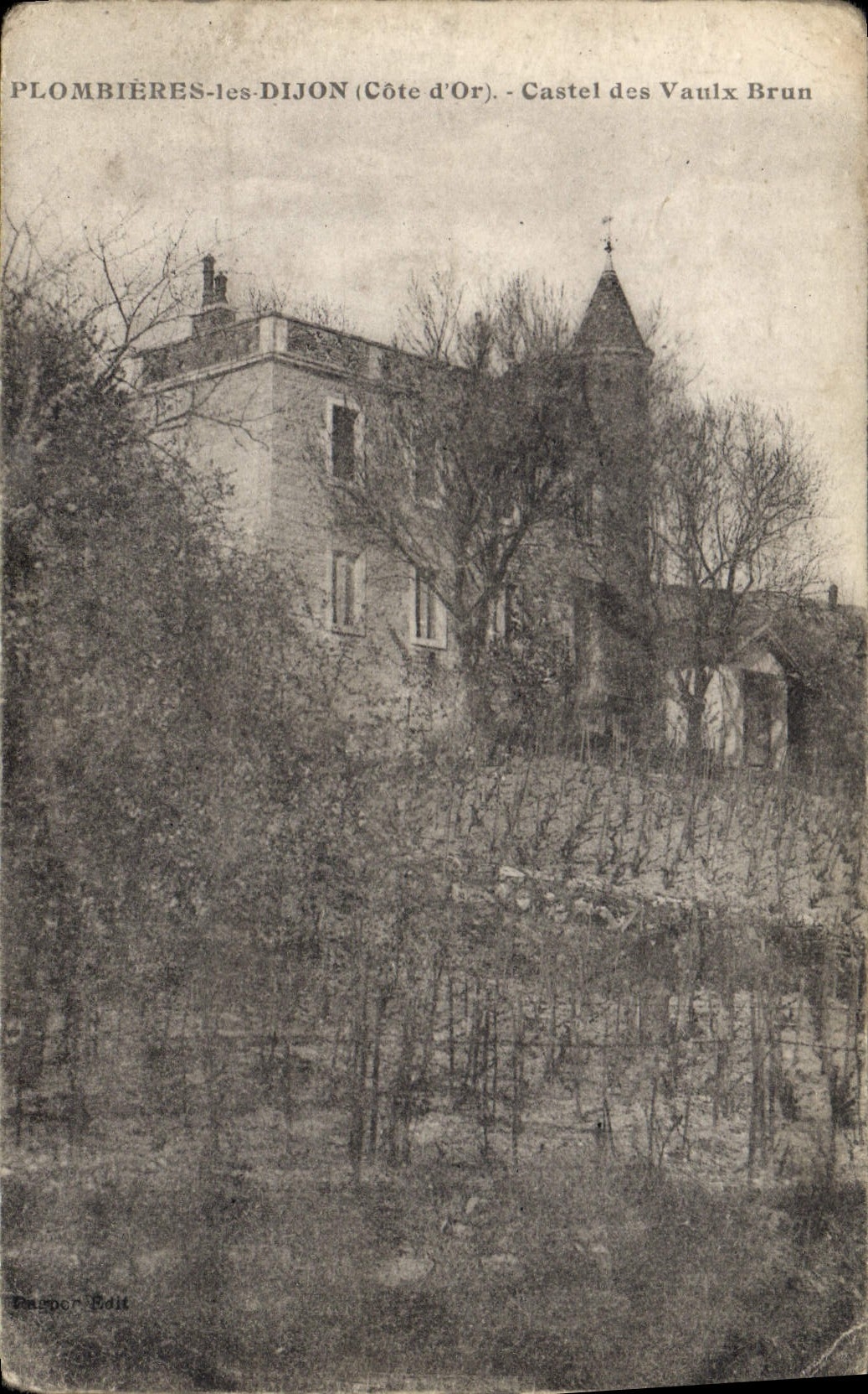 CPA Plombieres les Dijon Cote d'Or Castel des Vaulx Brun 