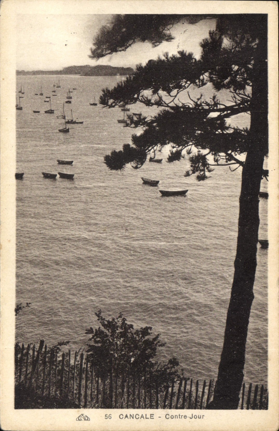 CPA Cancale Contre jour 