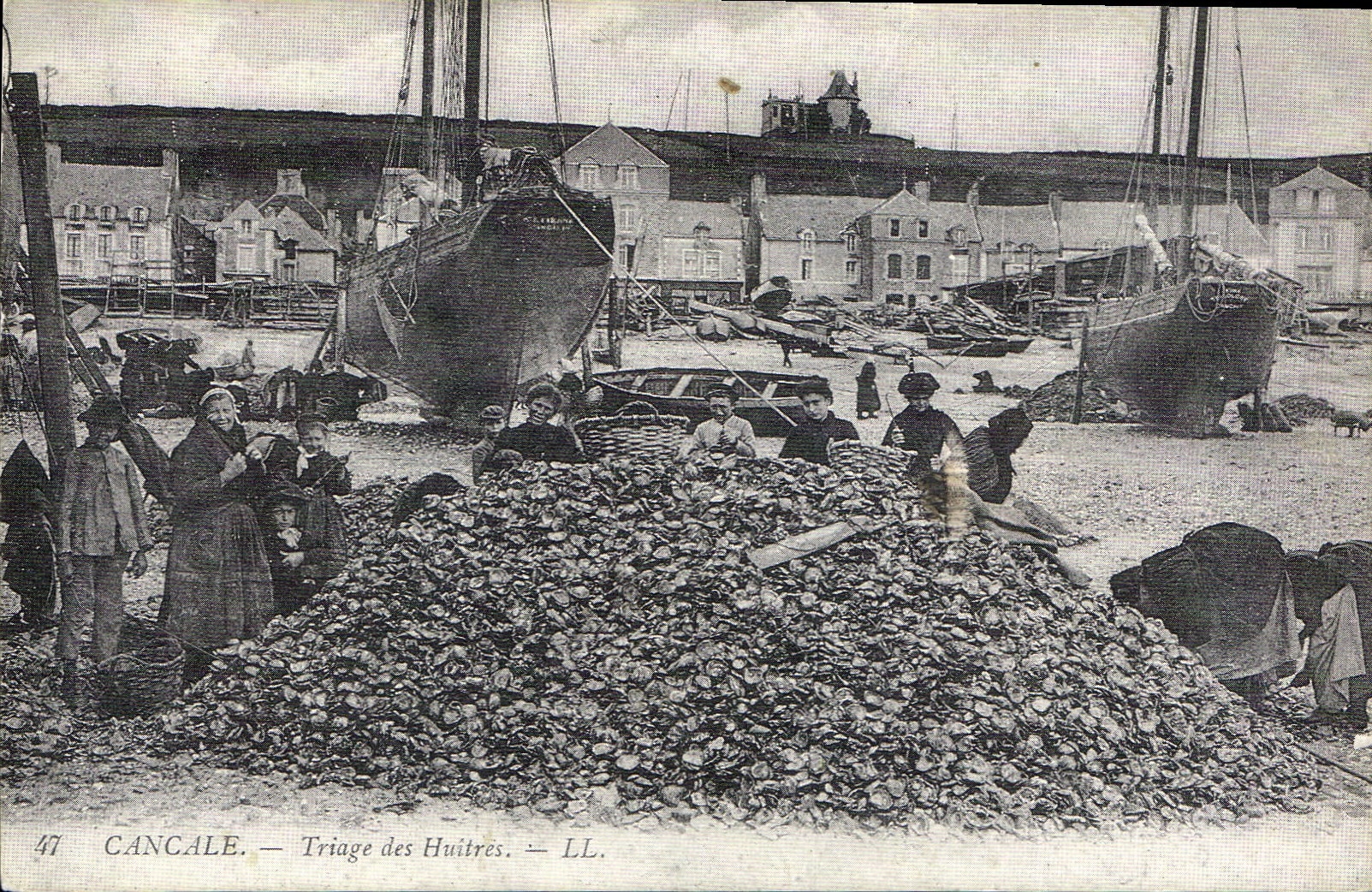 REPRO Cancale Triage des Huitres 