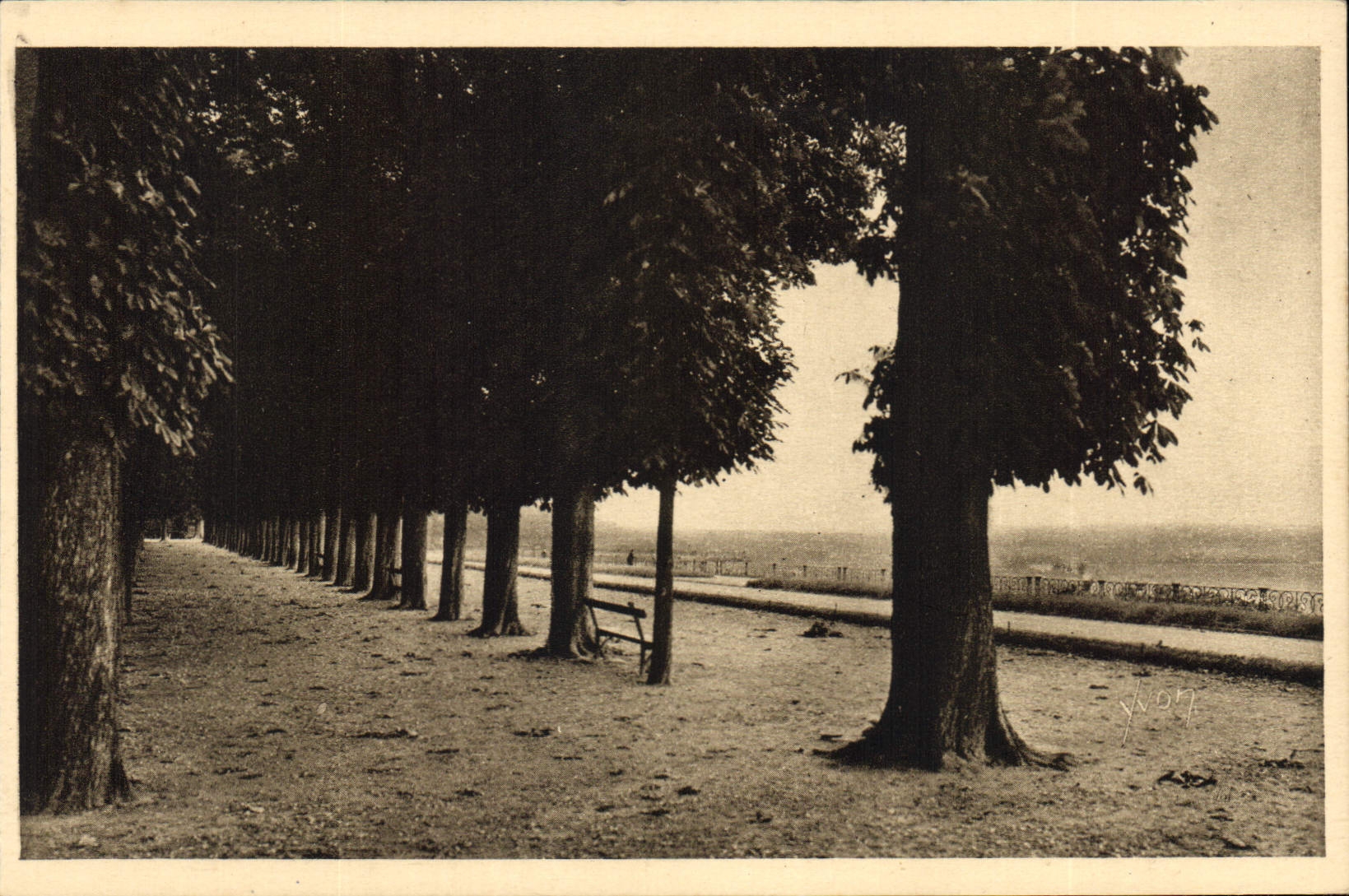 CPA Saint Germain en Laye Les Quinconces de la Terrasse 